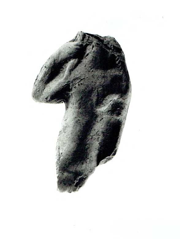 Fragment 3 de Vénus