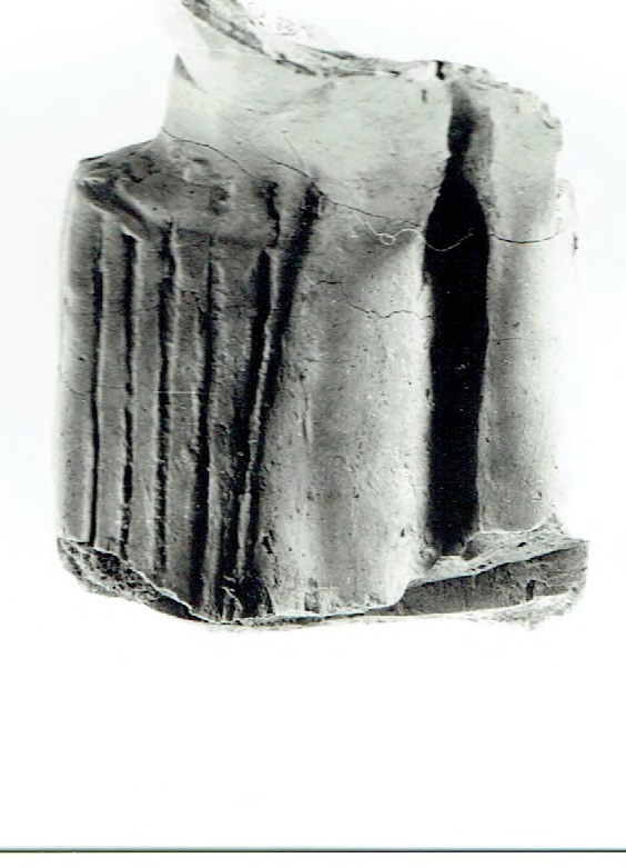 Fragment 6 de Vénus